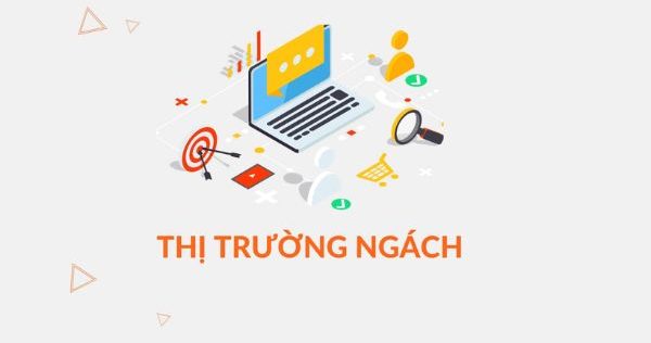 Thị trường ngách là gì? Cách lựa chọn sản phẩm ngách tăng trưởng doanh thu hiệu quả