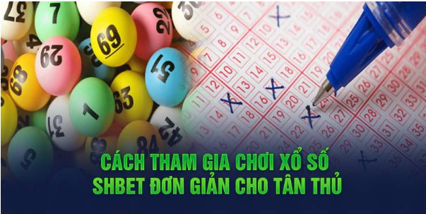 Cách chơi xổ số cho người mới